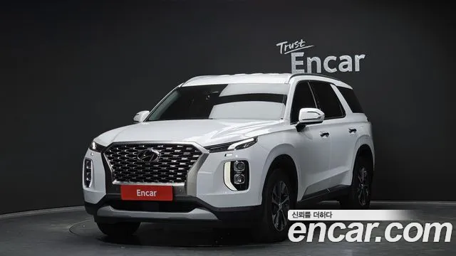 Hyundai Palisade 2019 — photo 1