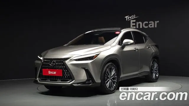 Lexus NX 2025 — photo 1