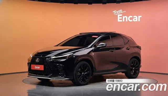 Lexus NX 2025 — photo 1