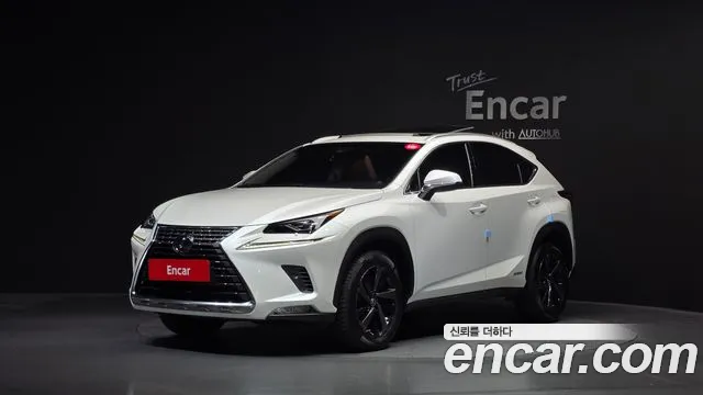 Lexus NX 2019 — photo 1