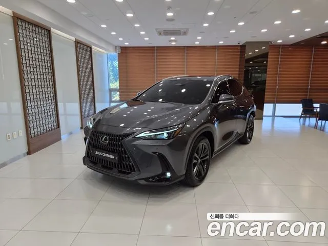 Lexus NX 2026 — photo 1