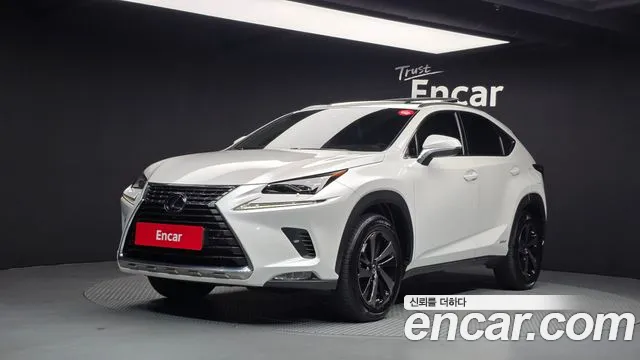 Lexus NX 2020 — photo 1