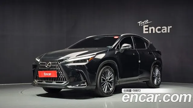 Lexus NX 2025 — photo 1