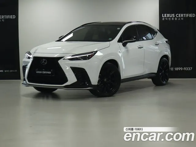 Lexus NX 2025 — photo 1