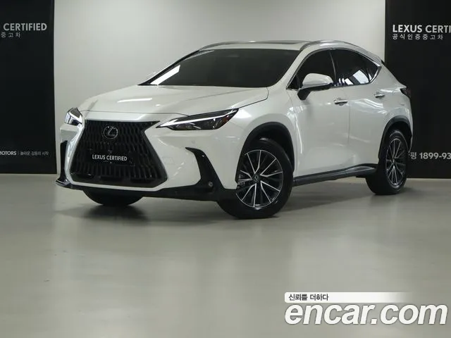 Lexus NX 2025 — photo 1