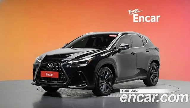 Lexus NX 2024 — photo 1