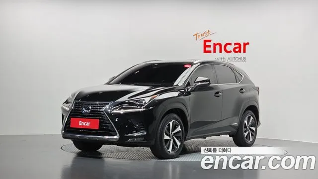 Lexus NX 2021 — photo 1