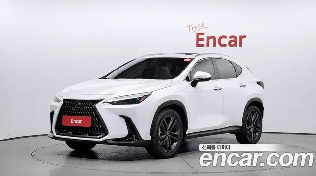Lexus NX 2022 — photo 1