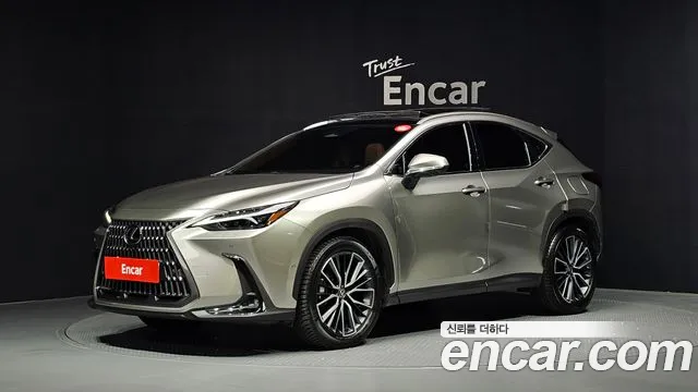 Lexus NX 2025 — photo 1