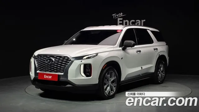 Hyundai Palisade 2019 — photo 1