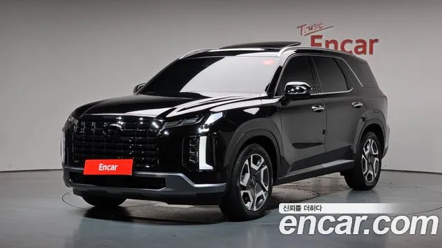 Hyundai Palisade 2024 — photo 1