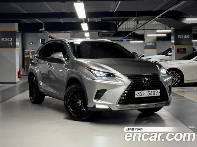 Lexus NX 2020 — photo 1