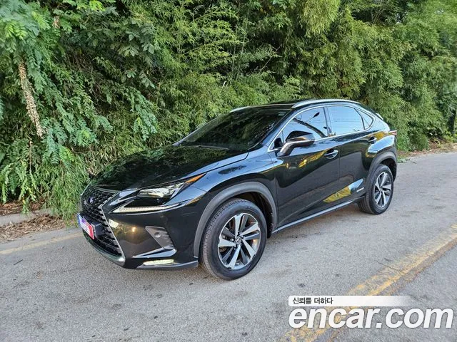 Lexus NX 2020 — photo 1