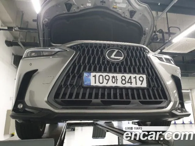 Lexus NX 2026 — photo 1