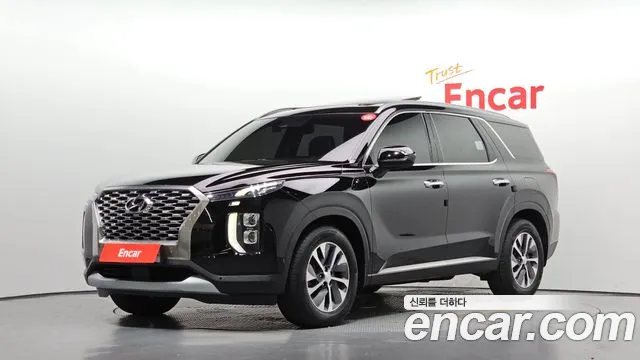 Hyundai Palisade 2019 — photo 1