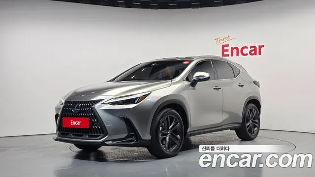 Lexus NX 2025 — photo 1