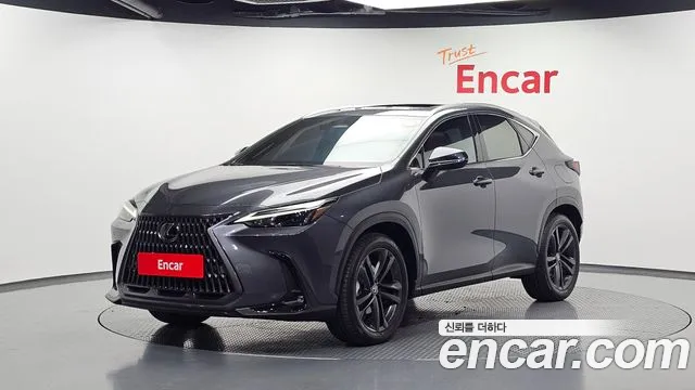 Lexus NX 2025 — photo 1