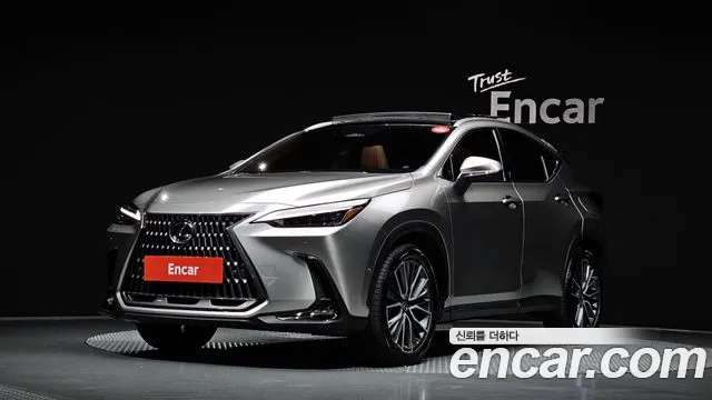 Lexus NX 2025 — photo 1