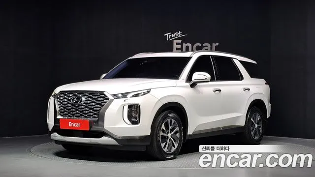 Hyundai Palisade 2019 — photo 1
