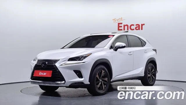 Lexus NX 2019 — photo 1