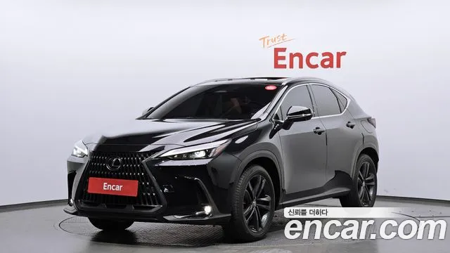 Lexus NX 2023 — photo 1