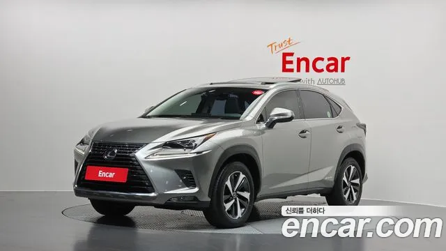 Lexus NX 2021 — photo 1