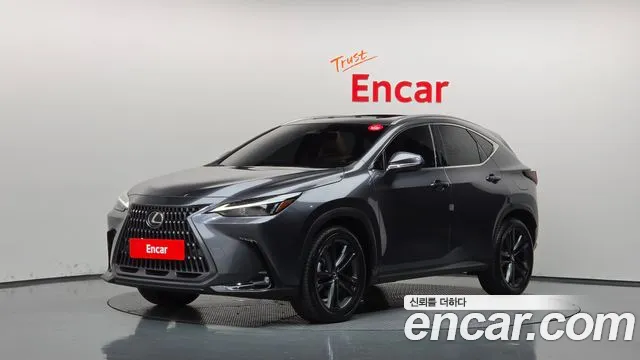 Lexus NX 2025 — photo 1