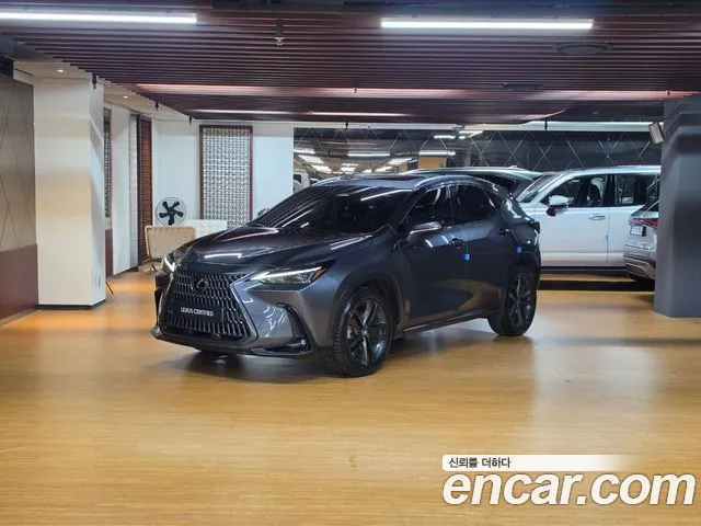 Lexus NX 2025 — photo 1