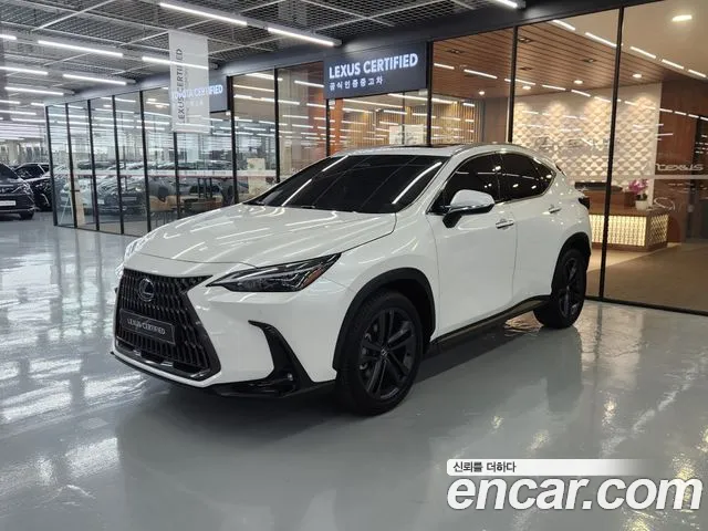 Lexus NX 2025 — photo 1
