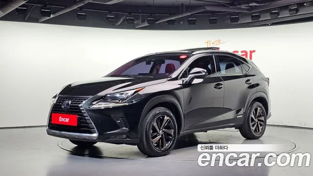 Lexus NX 2019 — photo 1