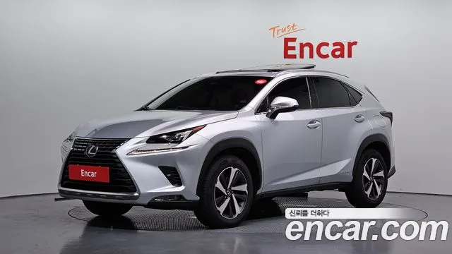 Lexus NX 2019 — photo 1