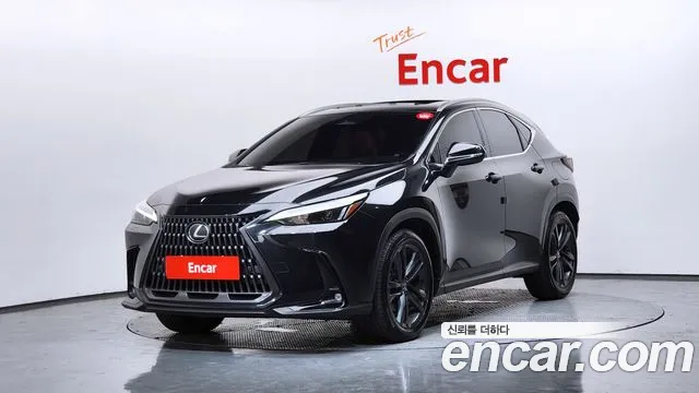 Lexus NX 2025 — photo 1