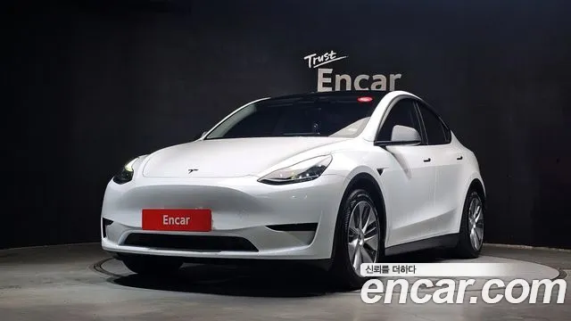 Model Y