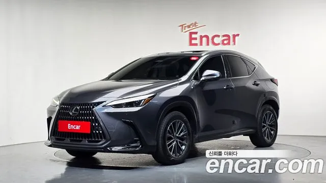 Lexus NX 2024 — photo 1