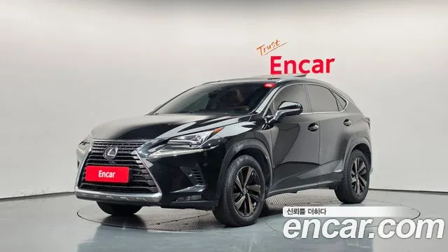 Lexus NX 2020 — photo 1
