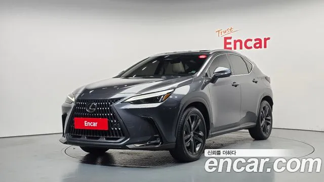 Lexus NX 2025 — photo 1