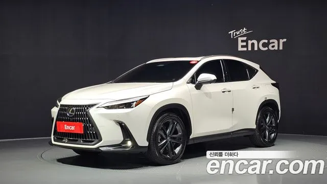 Lexus NX 2024 — photo 1