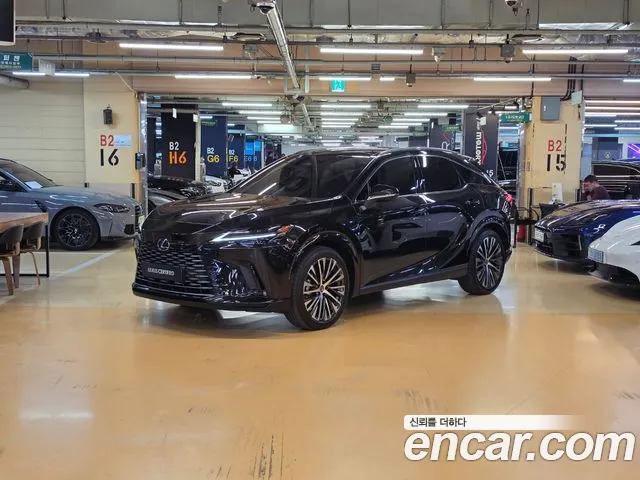 Lexus RX 2025 — photo 1