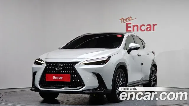 Lexus NX 2024 — photo 1