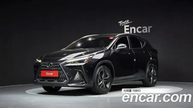 Lexus NX 2023 — photo 1