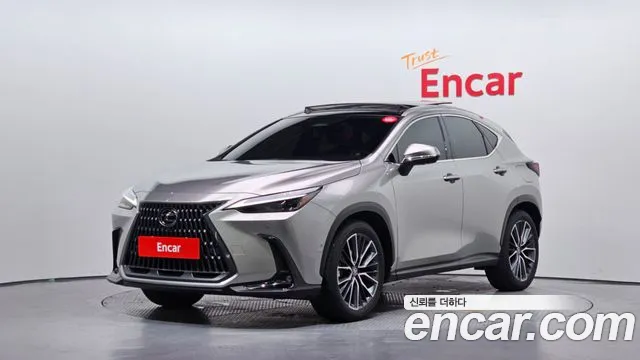 Lexus NX 2025 — photo 1