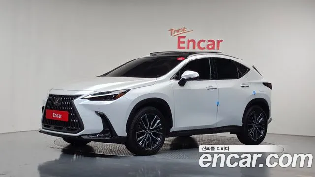 Lexus NX 2025 — photo 1