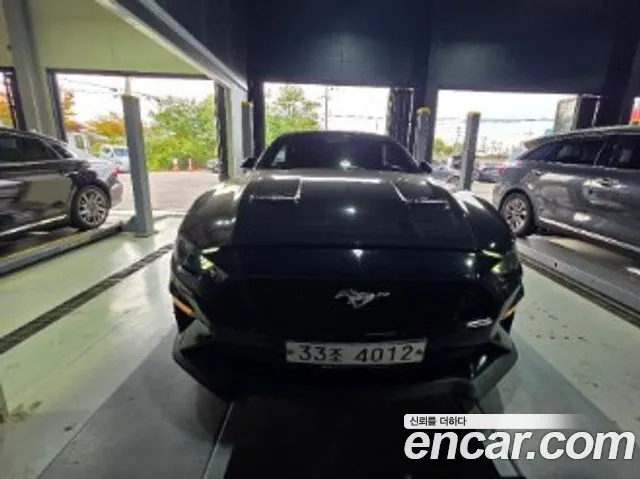 Ford Mustang 2019 — photo 1