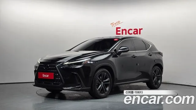 Lexus NX 2025 — photo 1
