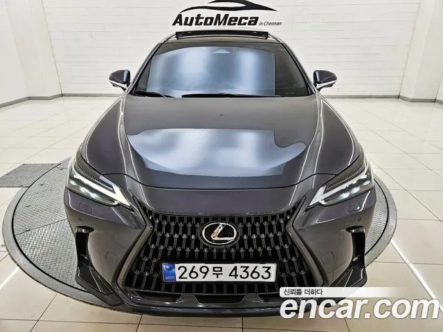 Lexus NX 2024 — photo 1