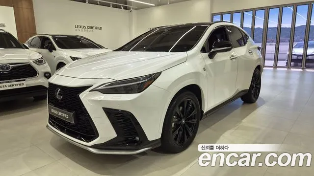 Lexus NX 2025 — photo 1