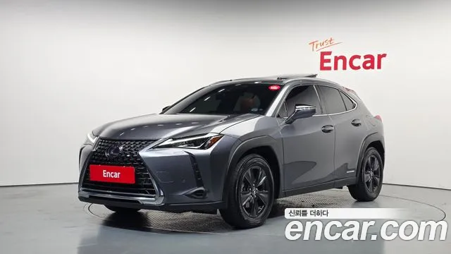 Lexus UX 2019 — photo 1