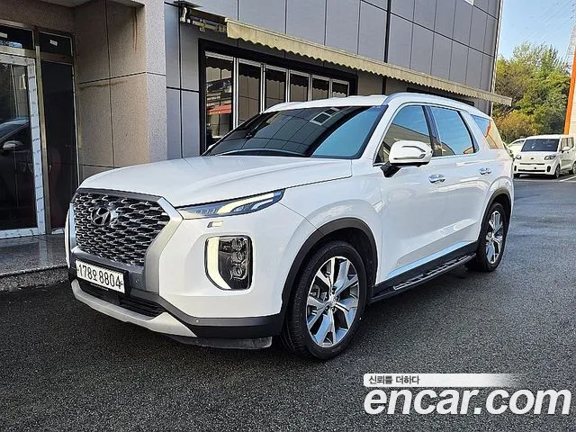 Hyundai Palisade 2020 — photo 1