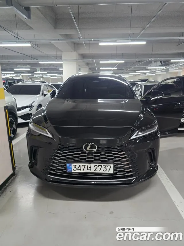 Lexus RX 2024 — photo 1
