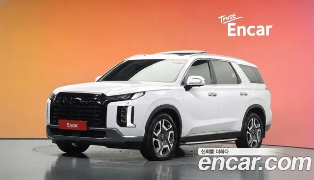 Hyundai Palisade 2024 — photo 1